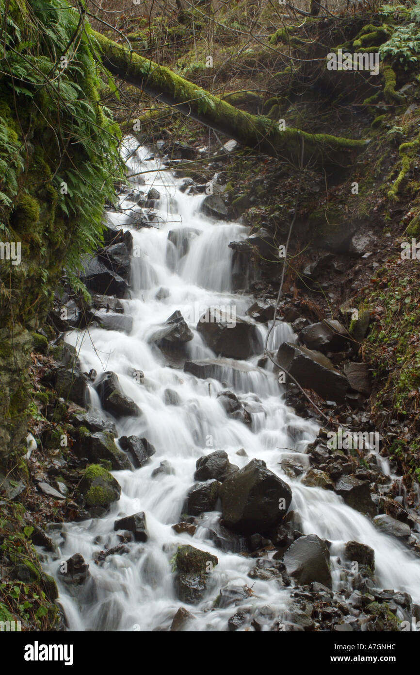 Columbia gorge landscapes hi-res stock photography and images - Alamy
