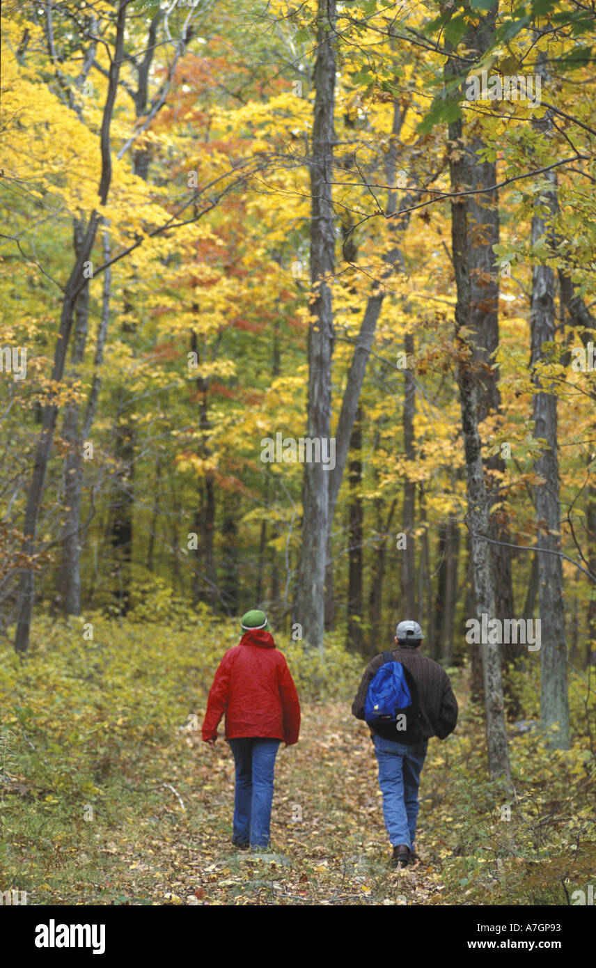 US, CT, Kent, oak-hickory forests in Litchfield Hills. Kent School property part of a TPL project. (MR) Stock Photo