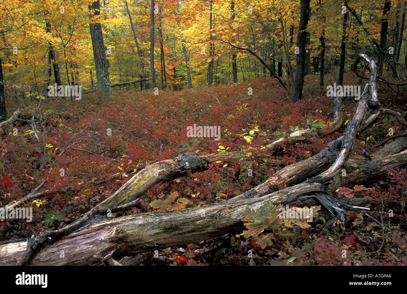 Kent school new england hires stock photography and images Alamy