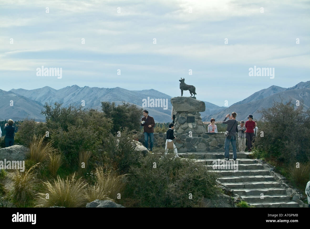The ‘Boundary Dog’ Statue at Lake Tekapo, New Zealand Stock Photo Alamy