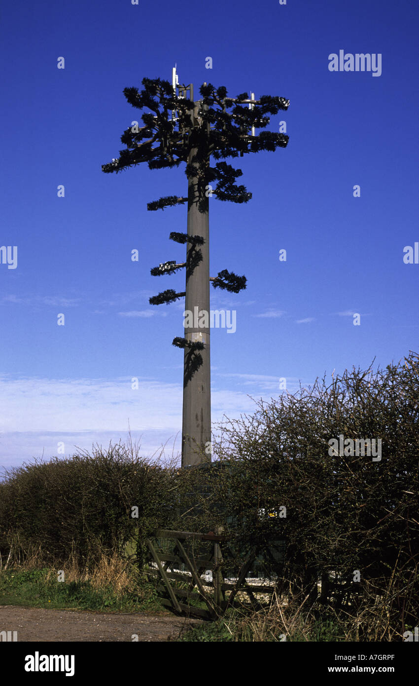 mobile phone mast disguised as a tree to blend into the surrounding countryside  yorkshire uk Stock Photo