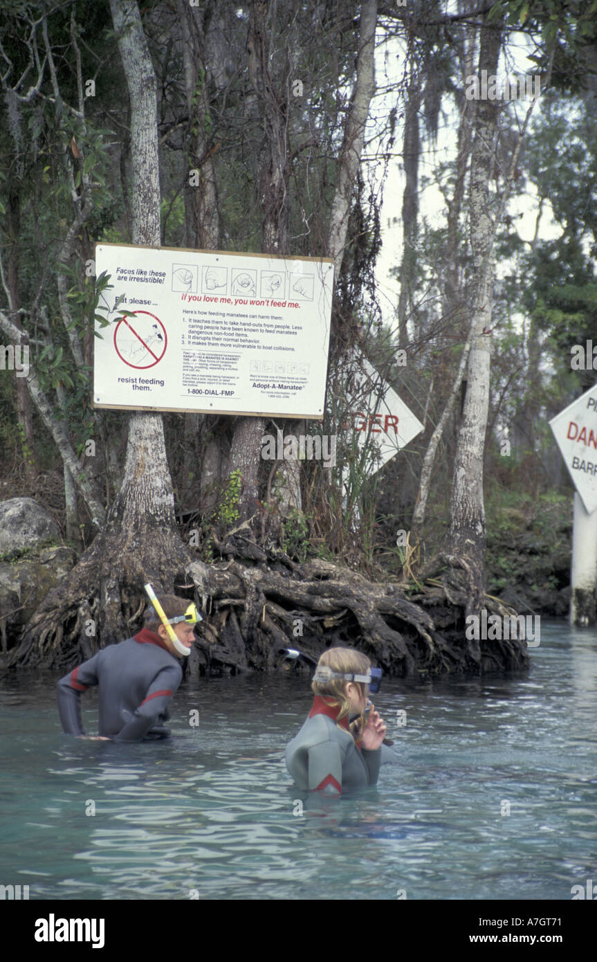 NA, USA, Florida, Crystal River.  Snorklers at Crystal River, home to many manatees. Stock Photo