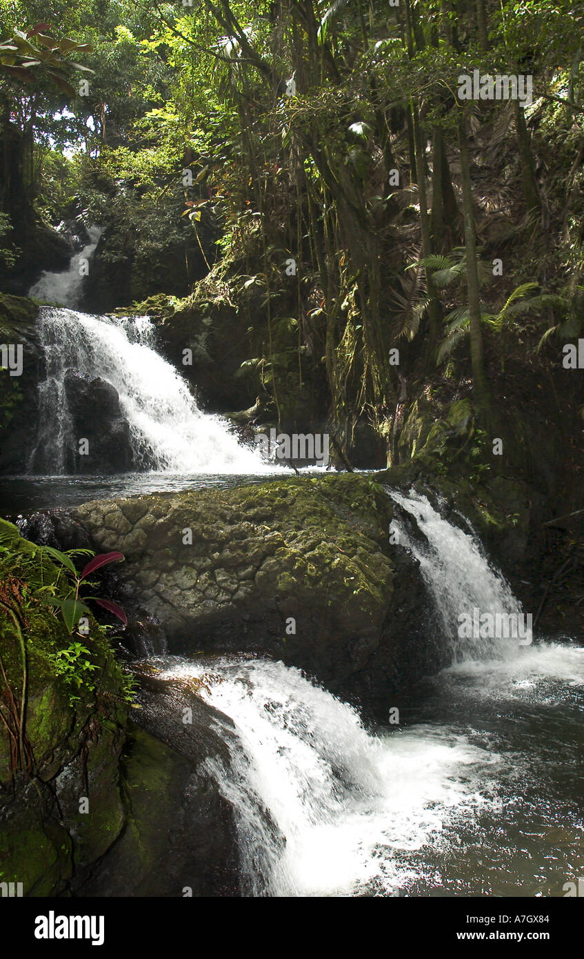 Onomea Falls, Hamakua Coast, Big Island, Hawaii, USA Stock Photo