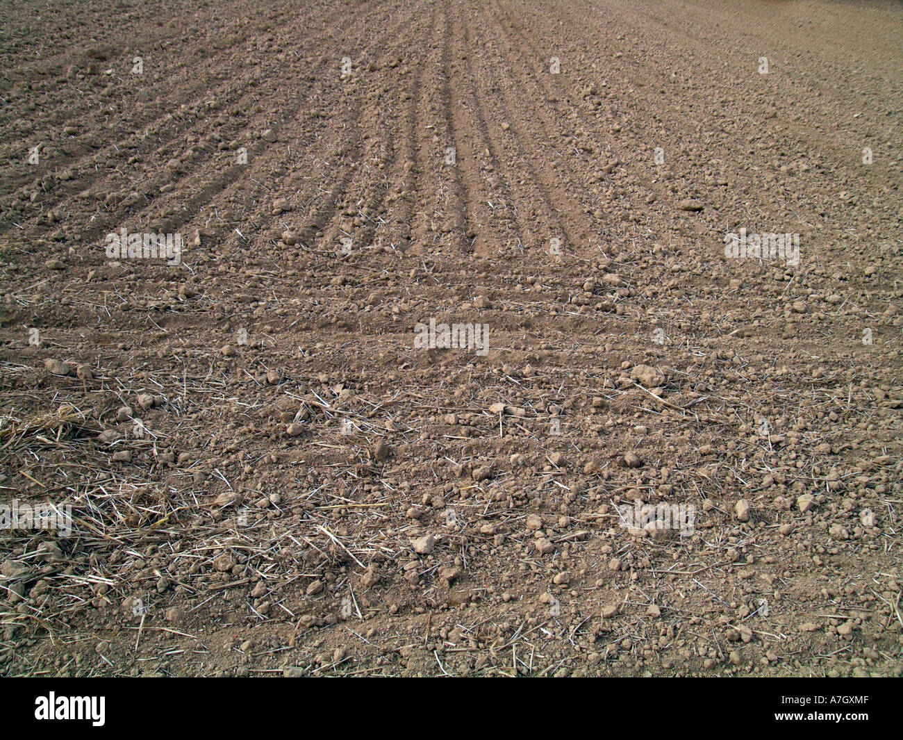 empty field after harrowing Stock Photo - Alamy