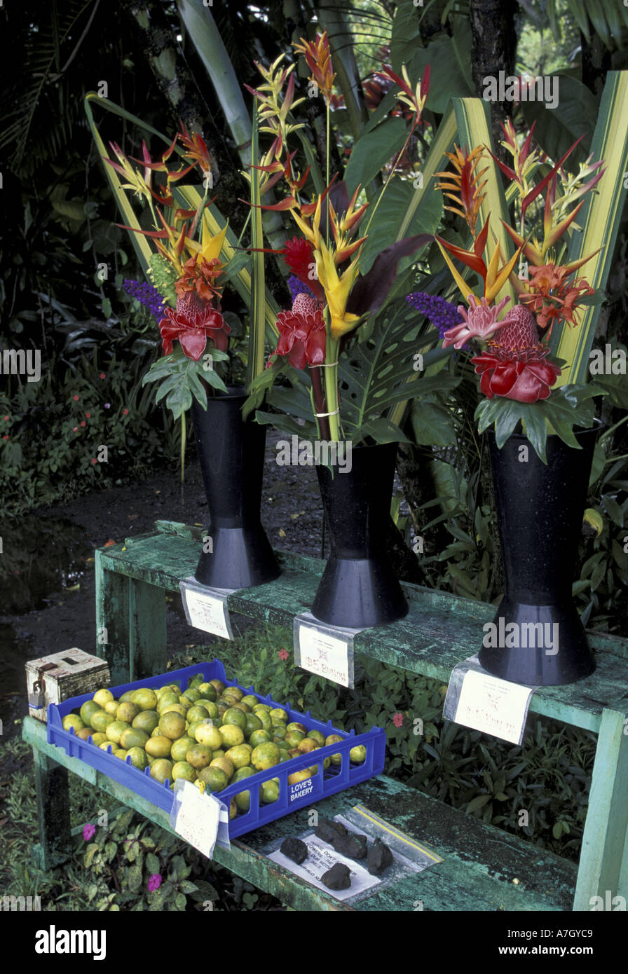 Maui tropical flowers bouquet hires stock photography and images Alamy