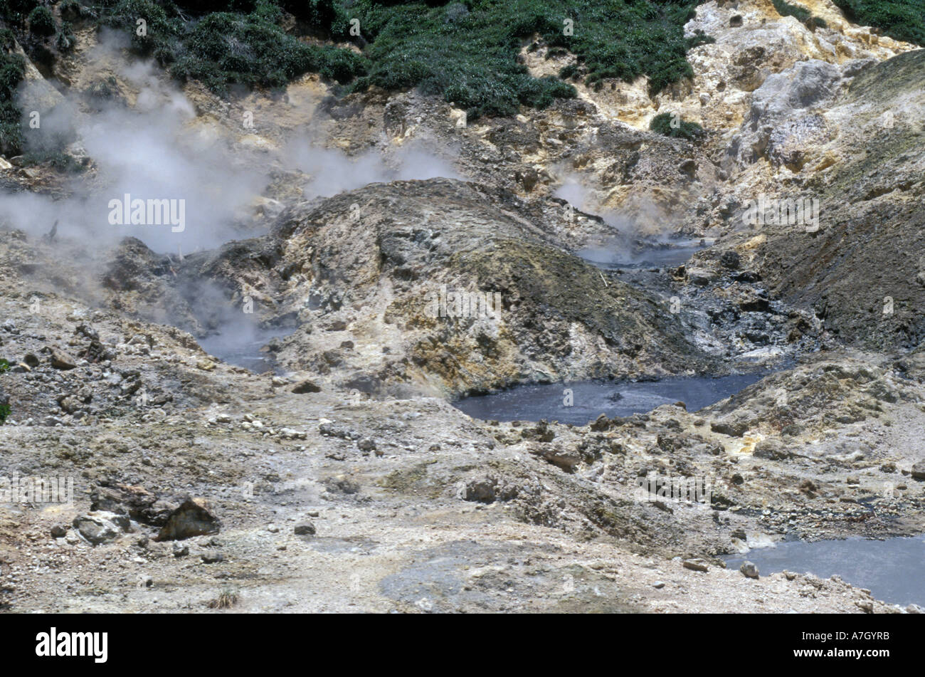 Soufriere volcano caldera, St. Lucia Stock Photo Alamy