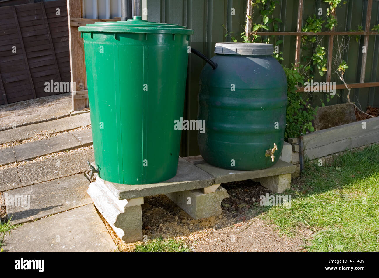 Two linked green plastic water butts collecting and storing rainwater from shed roof Cheltenham UK Stock Photo