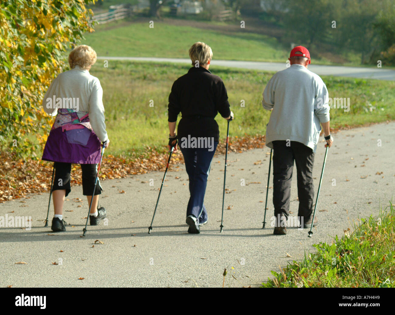 Old people nordic walking hi-res stock photography and images - Alamy