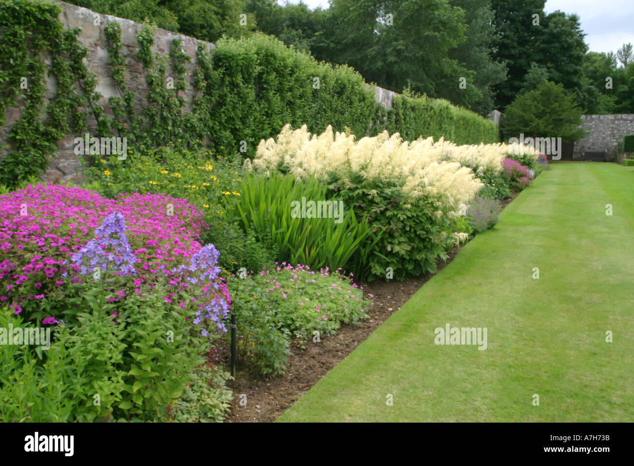 Flower borders at Pitmedden Gardens Stock Photo Alamy
