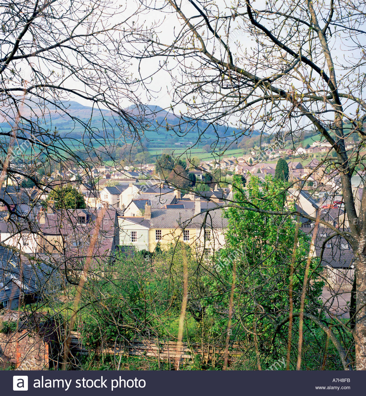 View of the town, houses and Table Mountain from the Castle mound in