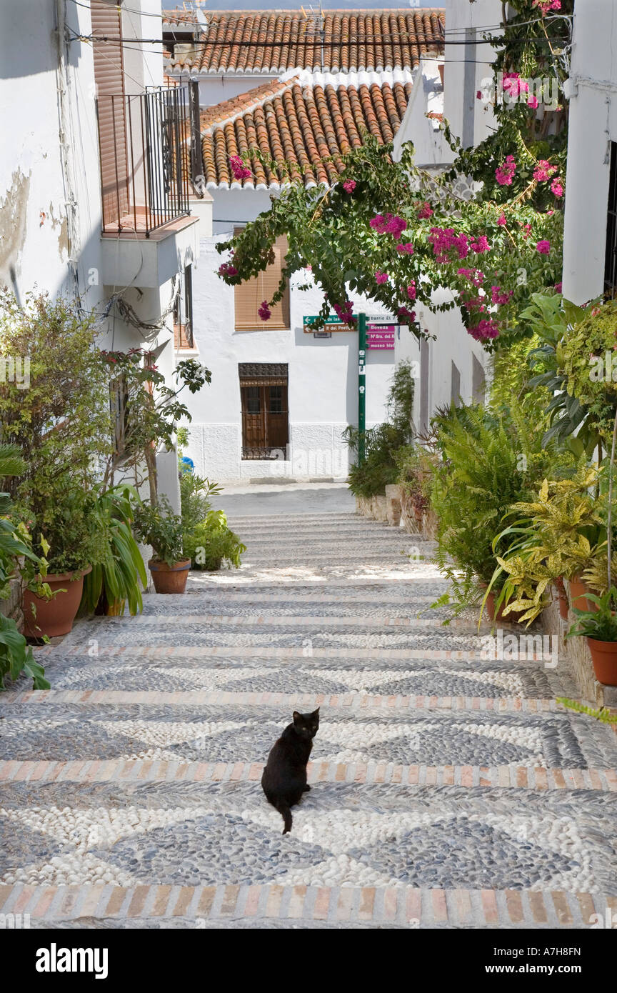 Steep patterned cobbled street with black cat Salobrena Spain Stock Photo