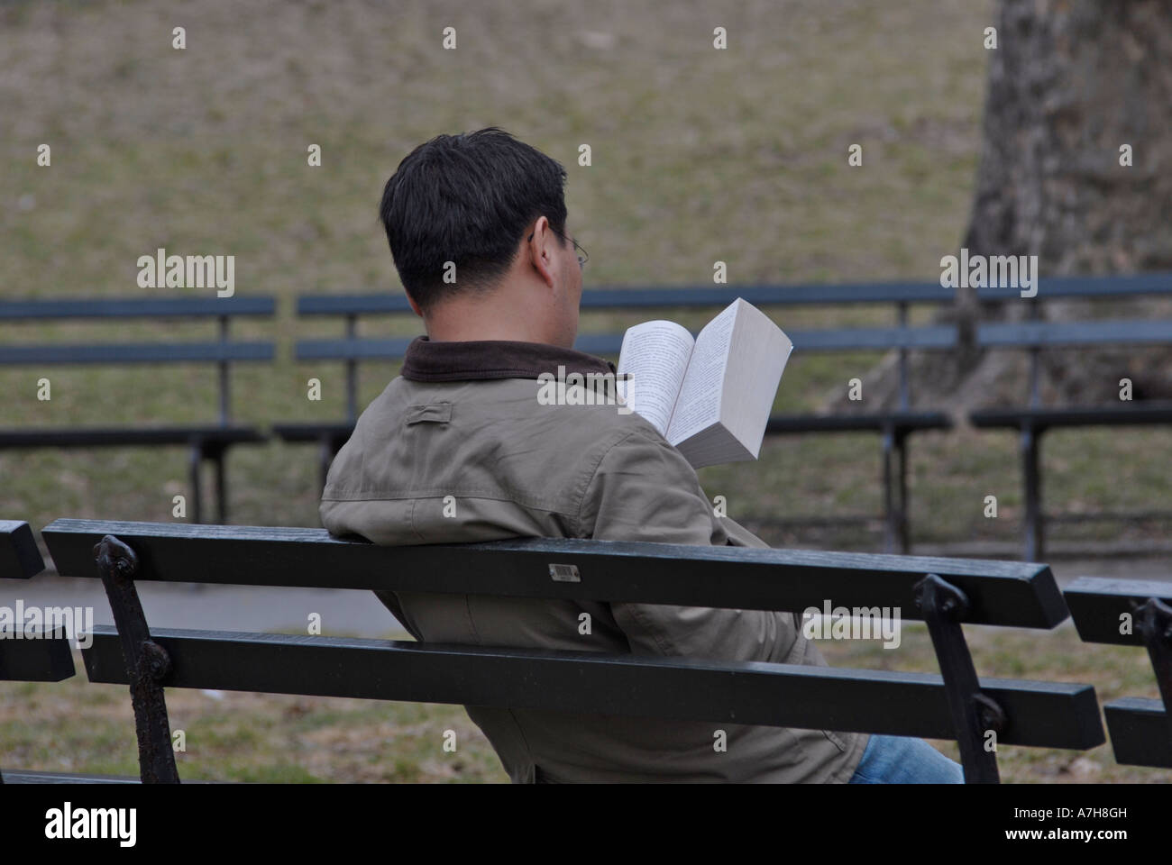 Man sitting on a bench and reading in Central Park, New York City Stock ...