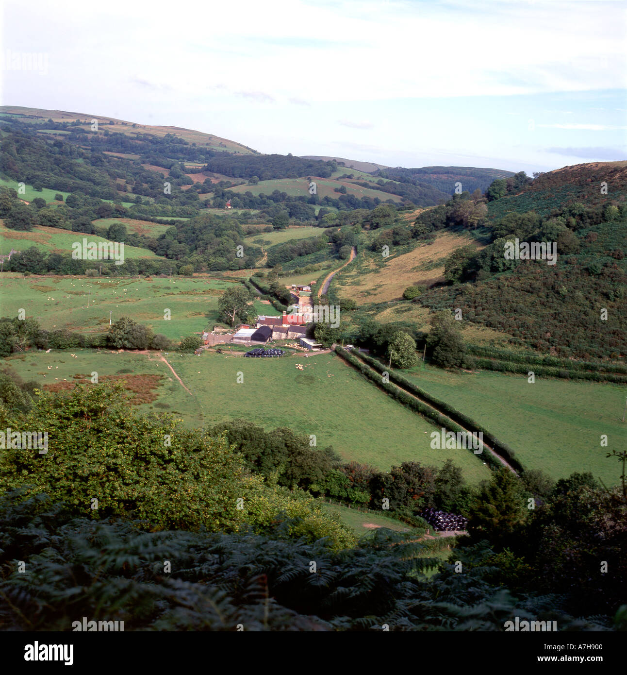 Cwm Cynwal Farm Llanwrda Carmarthenshire Wales UK Stock Photo Alamy