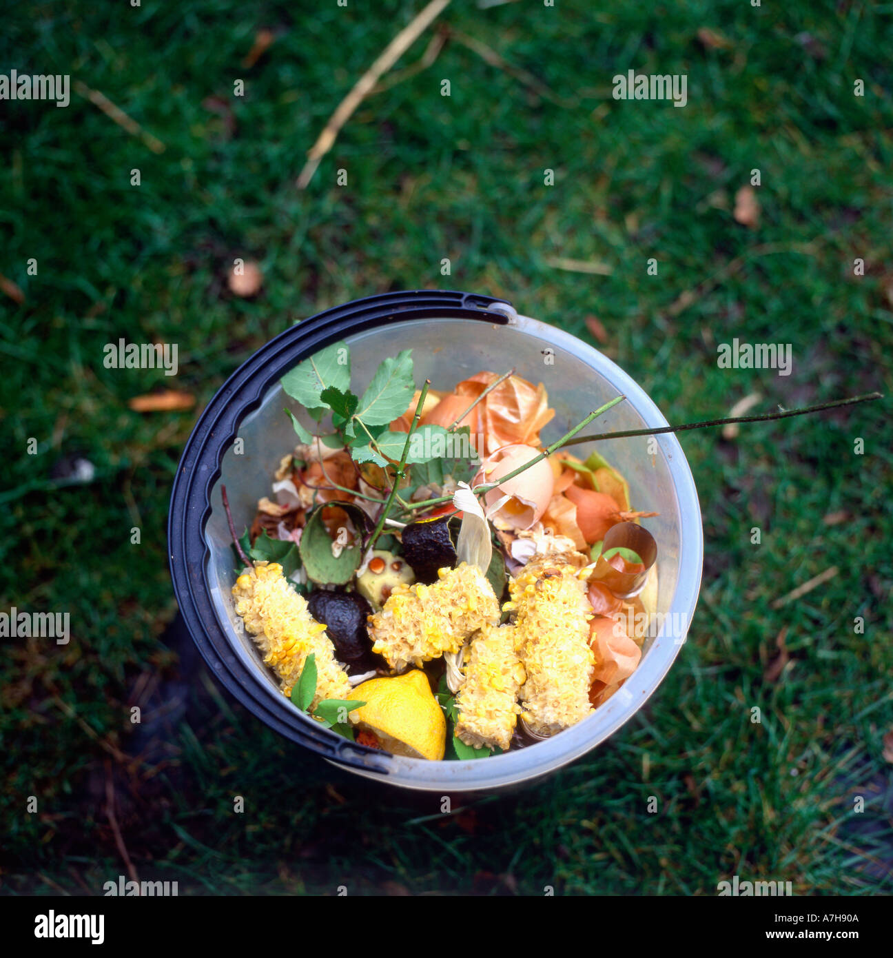 Bucket of kitchen compost with sweet corn husks and various food waste