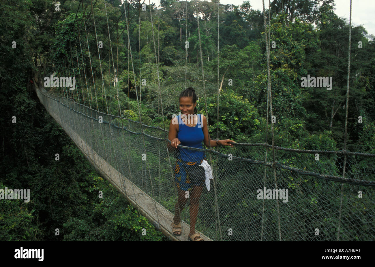 Tourist on the canopy walk, 350m long walkway 40m high in rainforest, Kakum National Park, Ghana Stock Photo