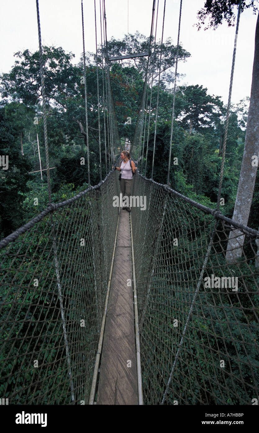 Tourist on the canopy walk, 350m long walkway 40m high in rainforest, Kakum National Park, Ghana Stock Photo