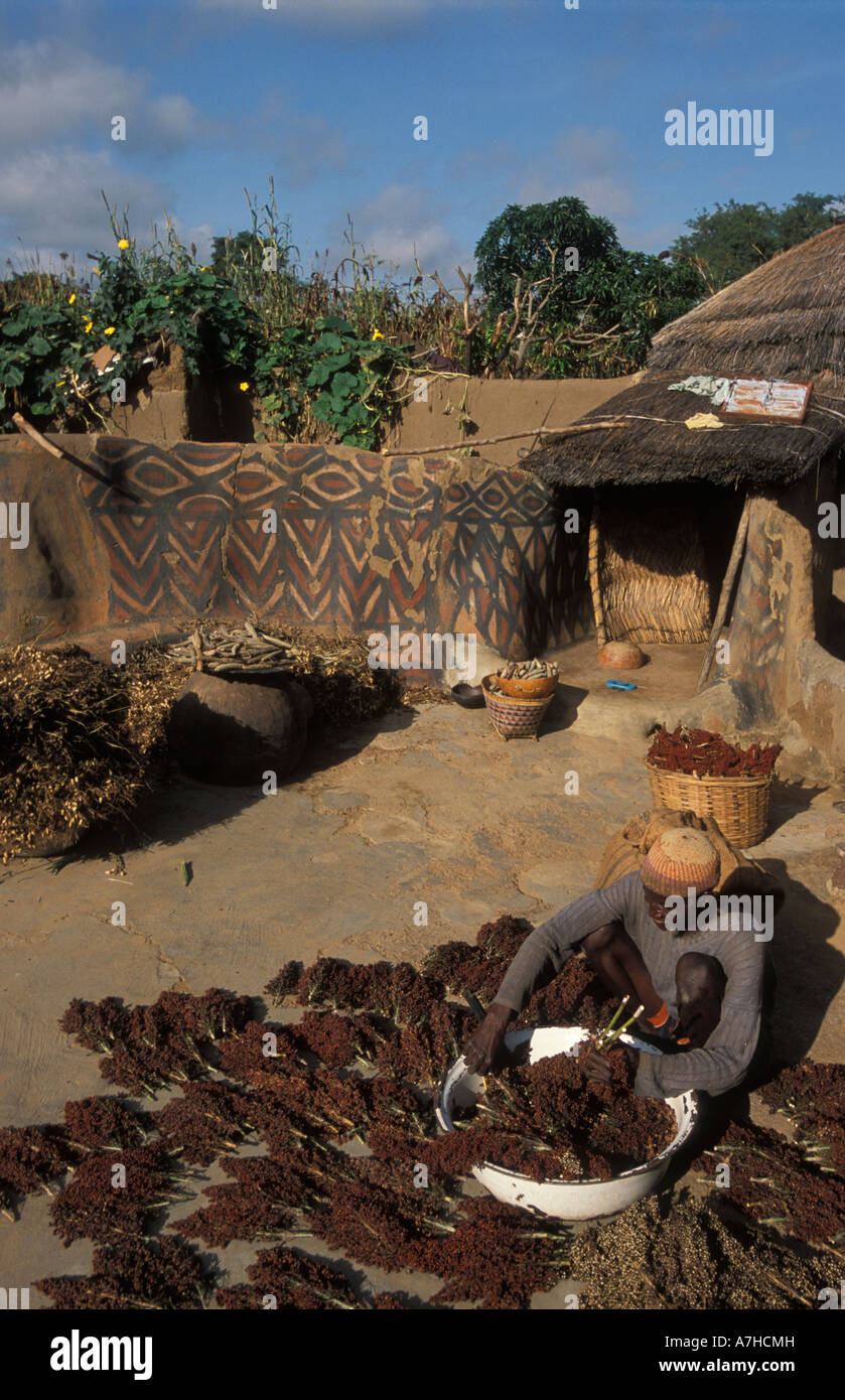 Traditionally painted mud compound, guinea corn drying, Sirigu village, Upper East region, Ghana Stock Photo