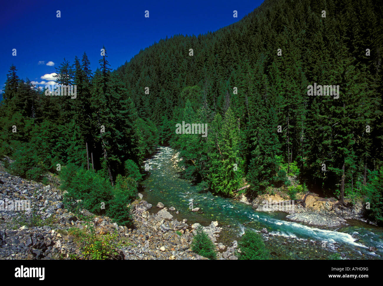 Ruby Creek