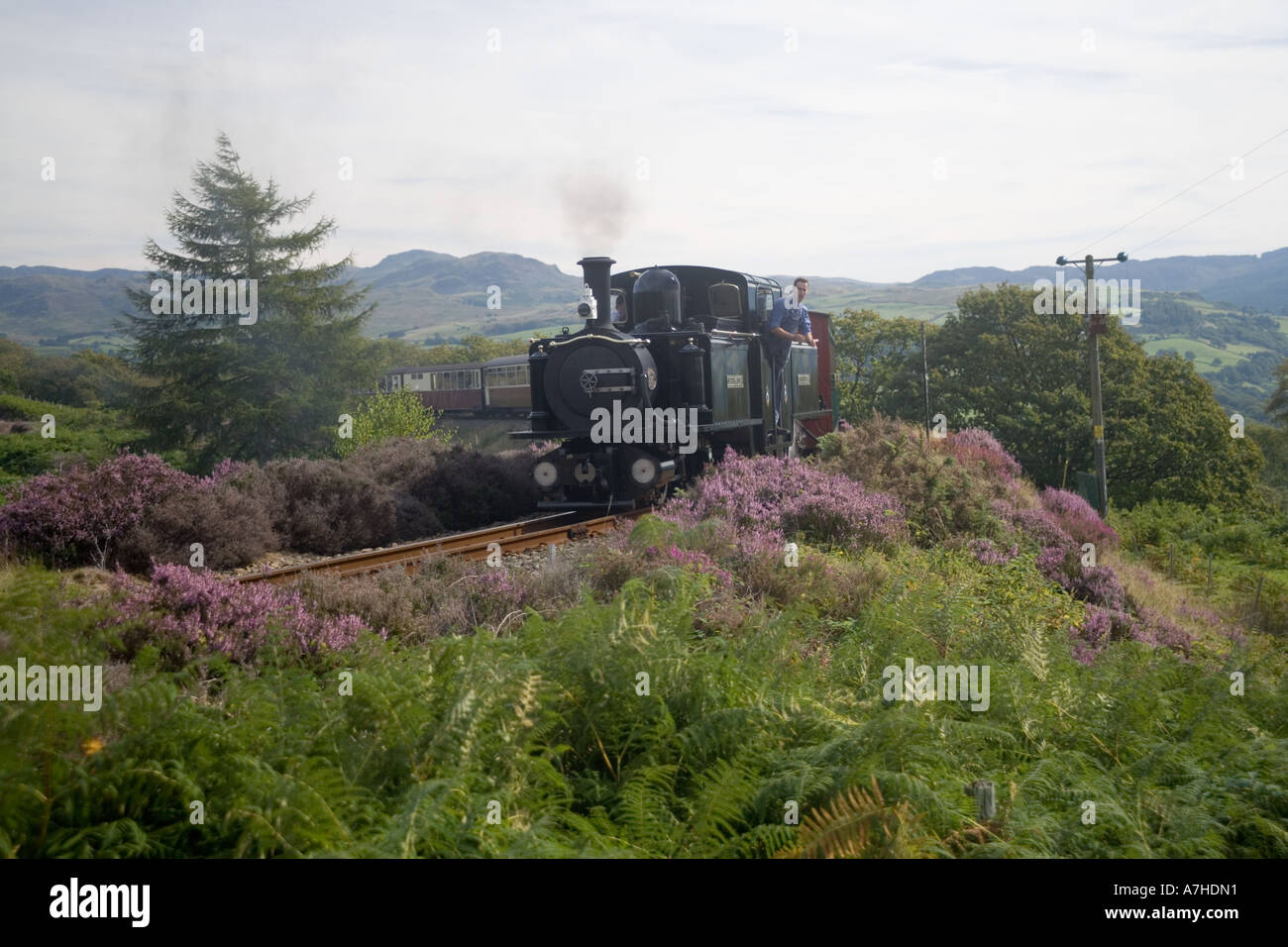 Steam train on the Ffestiniog railway in the hills between Porthmadog