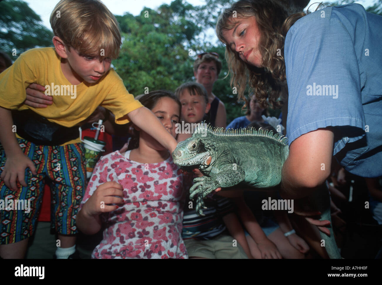 USA, IL, Chicago. Children pet an iguana at Brookfield Zoo. Stock Photo