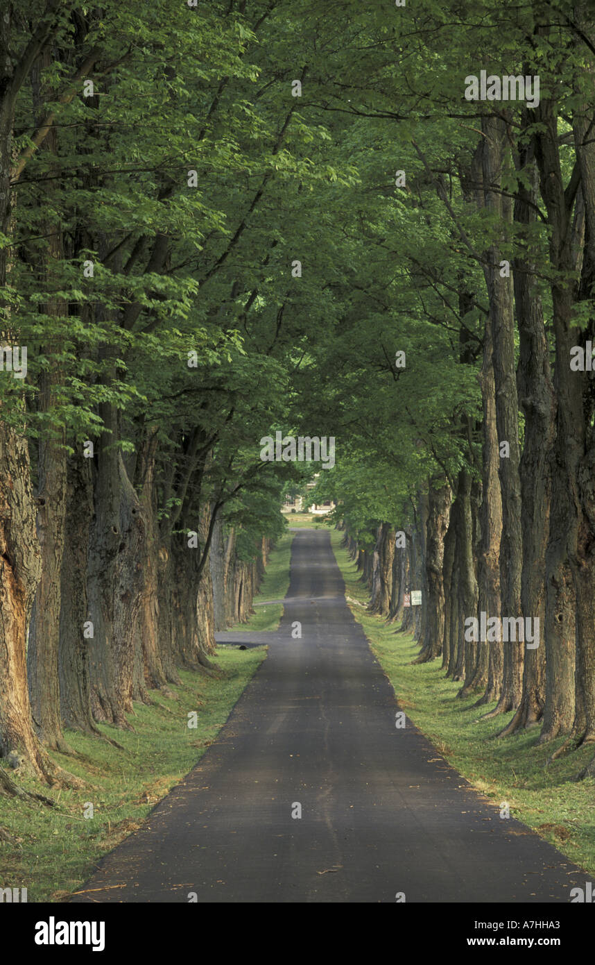 Kentucky road trip hi-res stock photography and images - Alamy