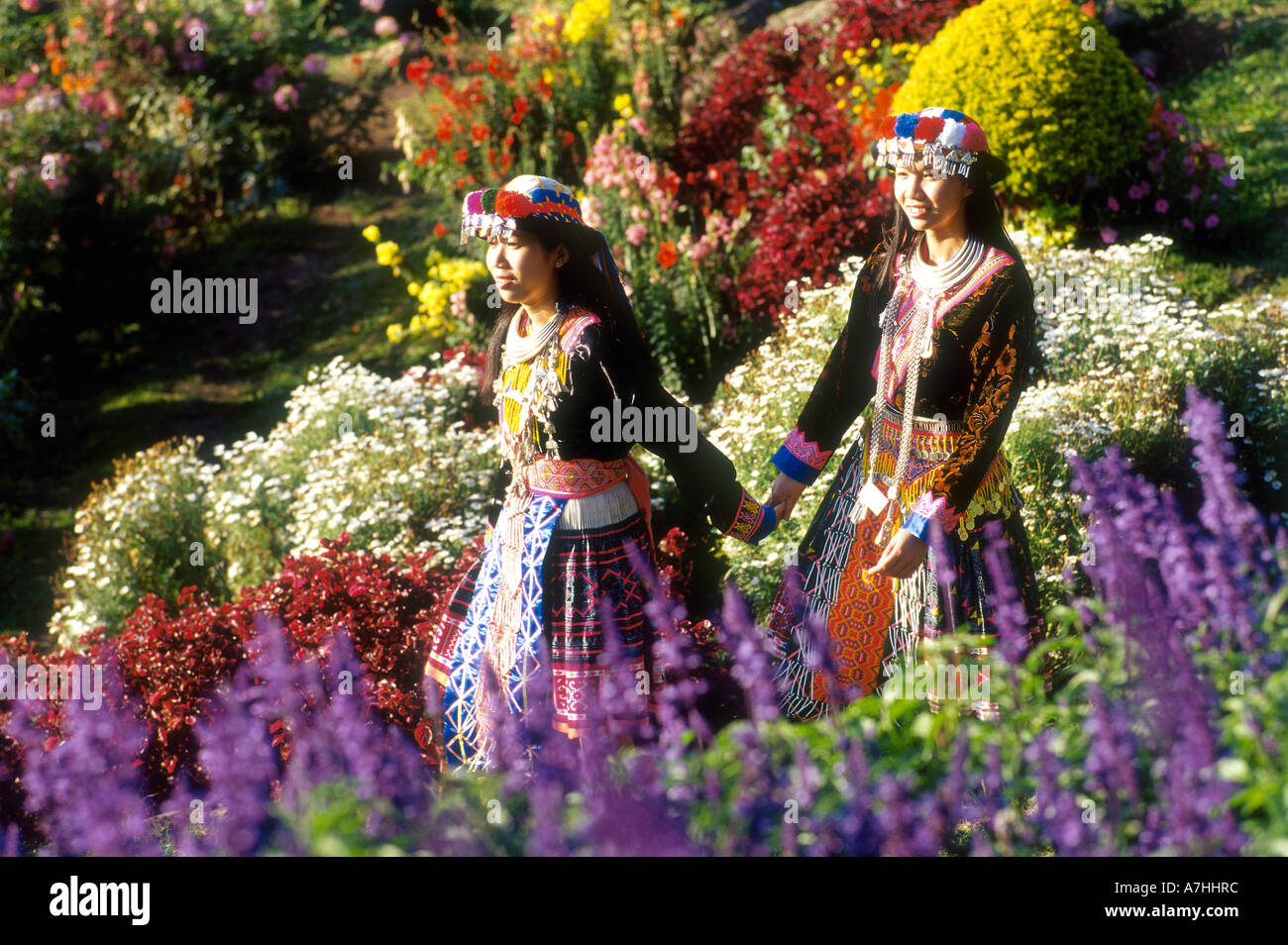 Colourful hmong costumes hi-res stock photography and images - Alamy