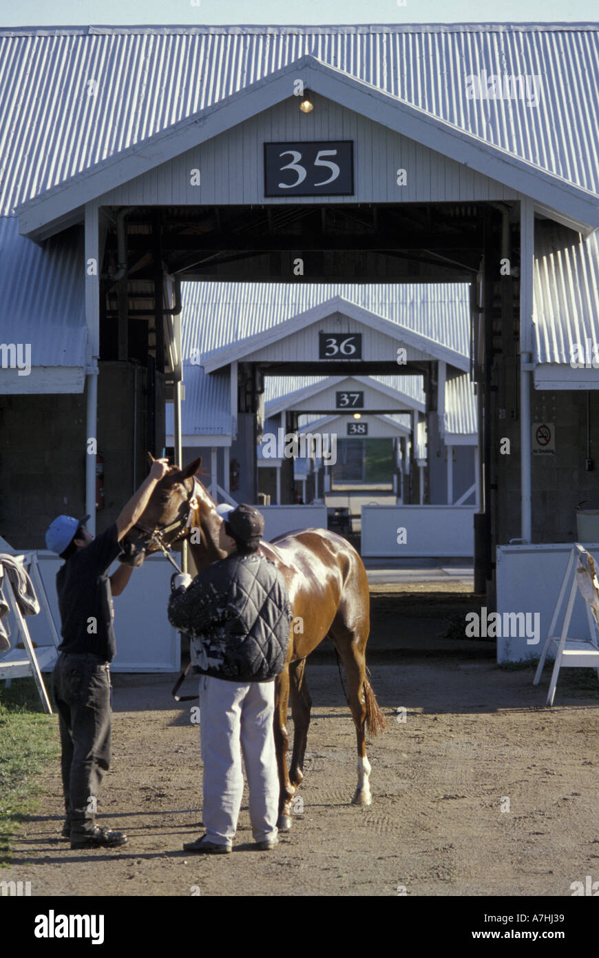 NA, USA, Kentucky, Lexington. Keenland horse stables Stock Photo Alamy