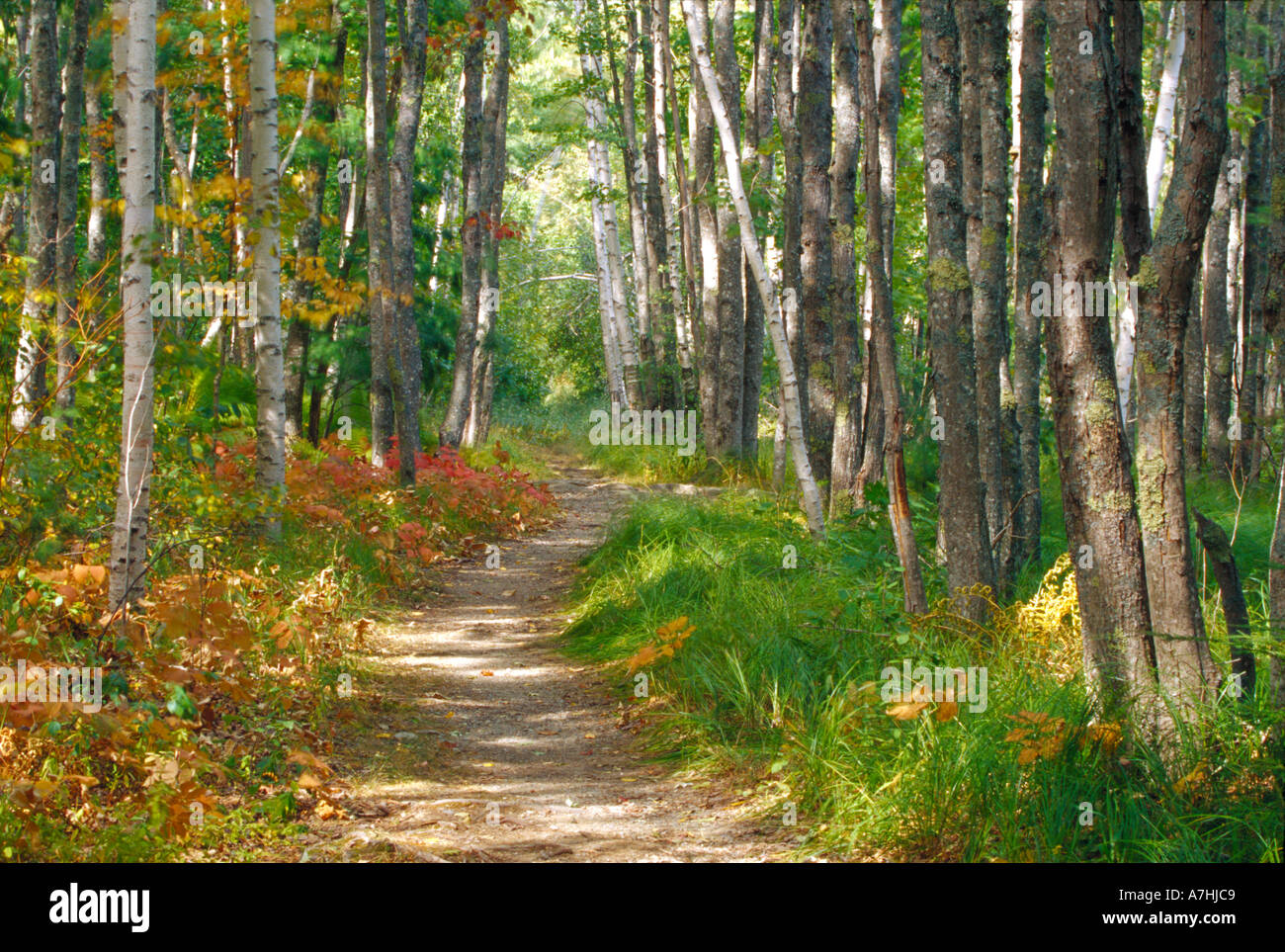 Jessup trail hires stock photography and images Alamy