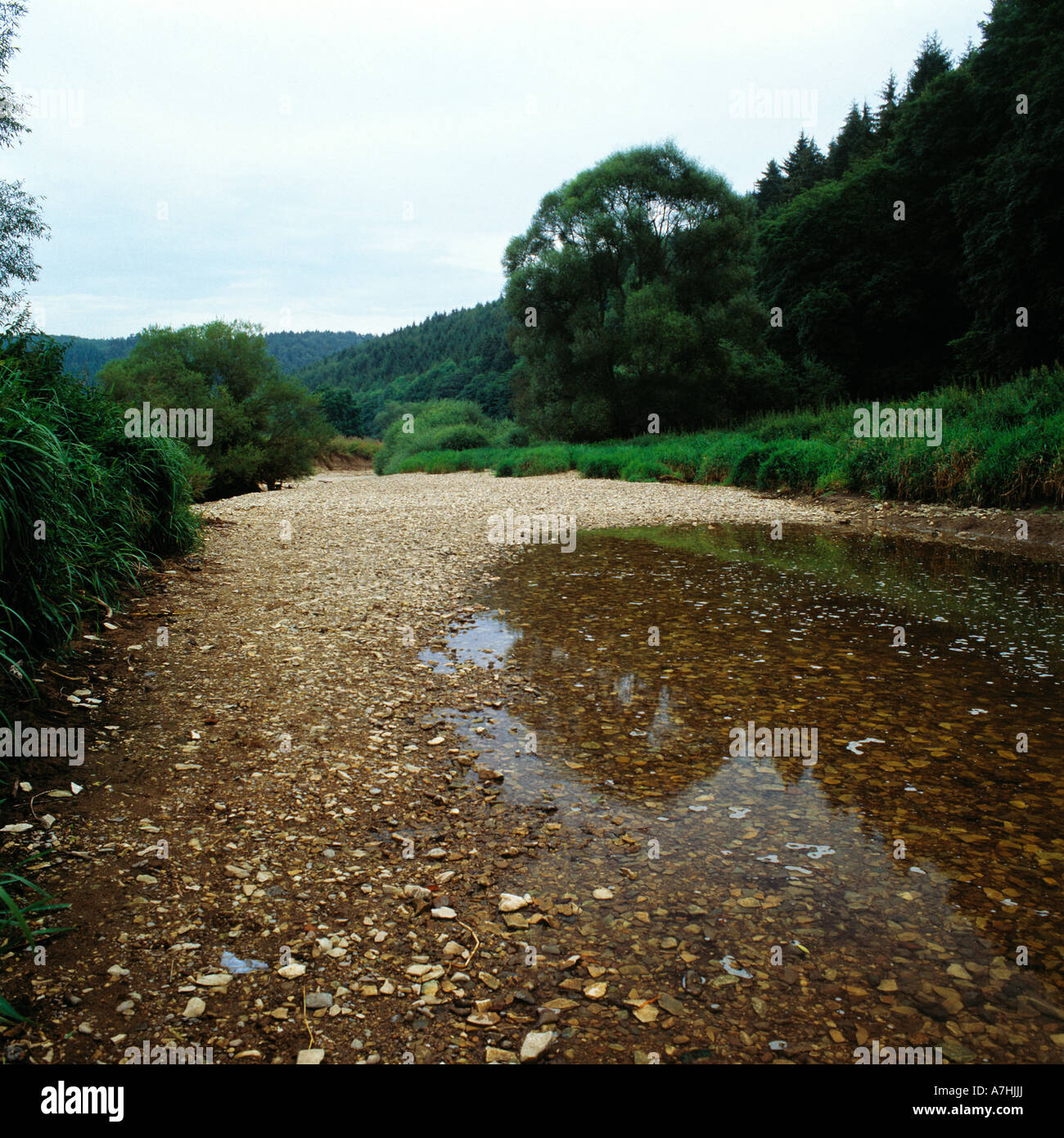 Versickerung der Donau bei Immendingen Oberes Donautal, Baden-Wuerttemberg Stock Photo