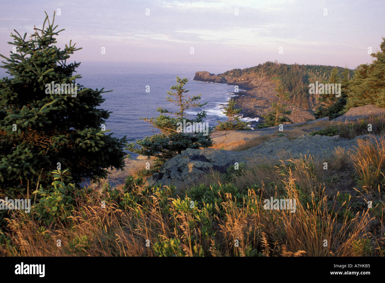 North America, US, ME, Cliffs Stock Photo - Alamy