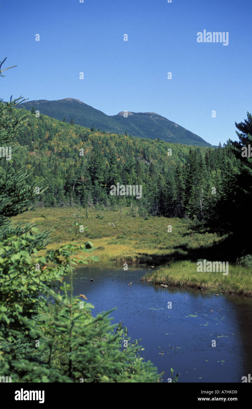 North America, US, ME, Bigelow Mountain as seen from Stratton Brook