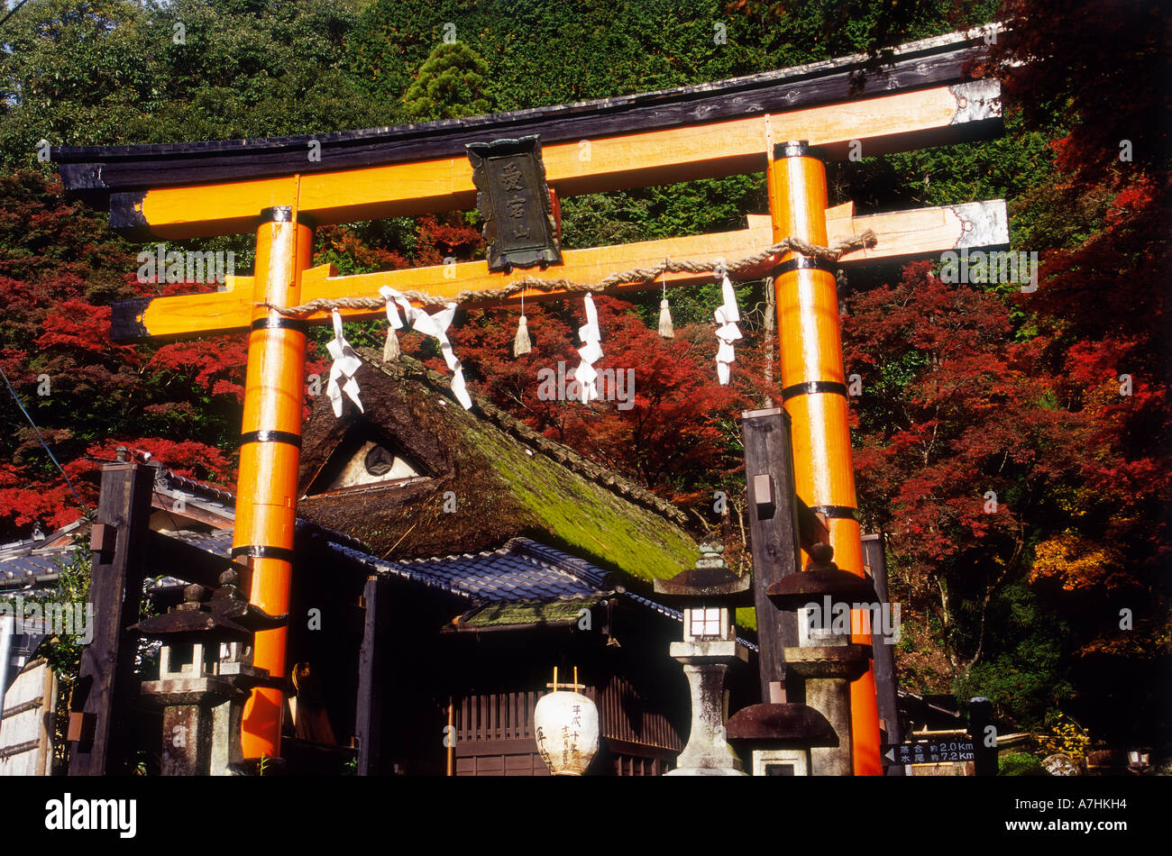 Kyoto, Sagano, Adashino, Torii Gate Stock Photo