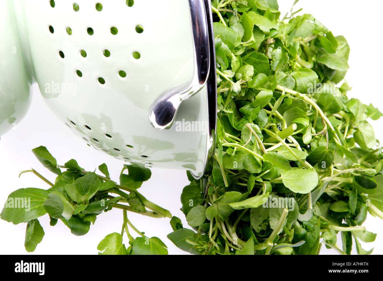 Fresh Healthy Natural Watercress Peppery Herbs Cooking Or Salad Ingredient With No People Stock Photo
