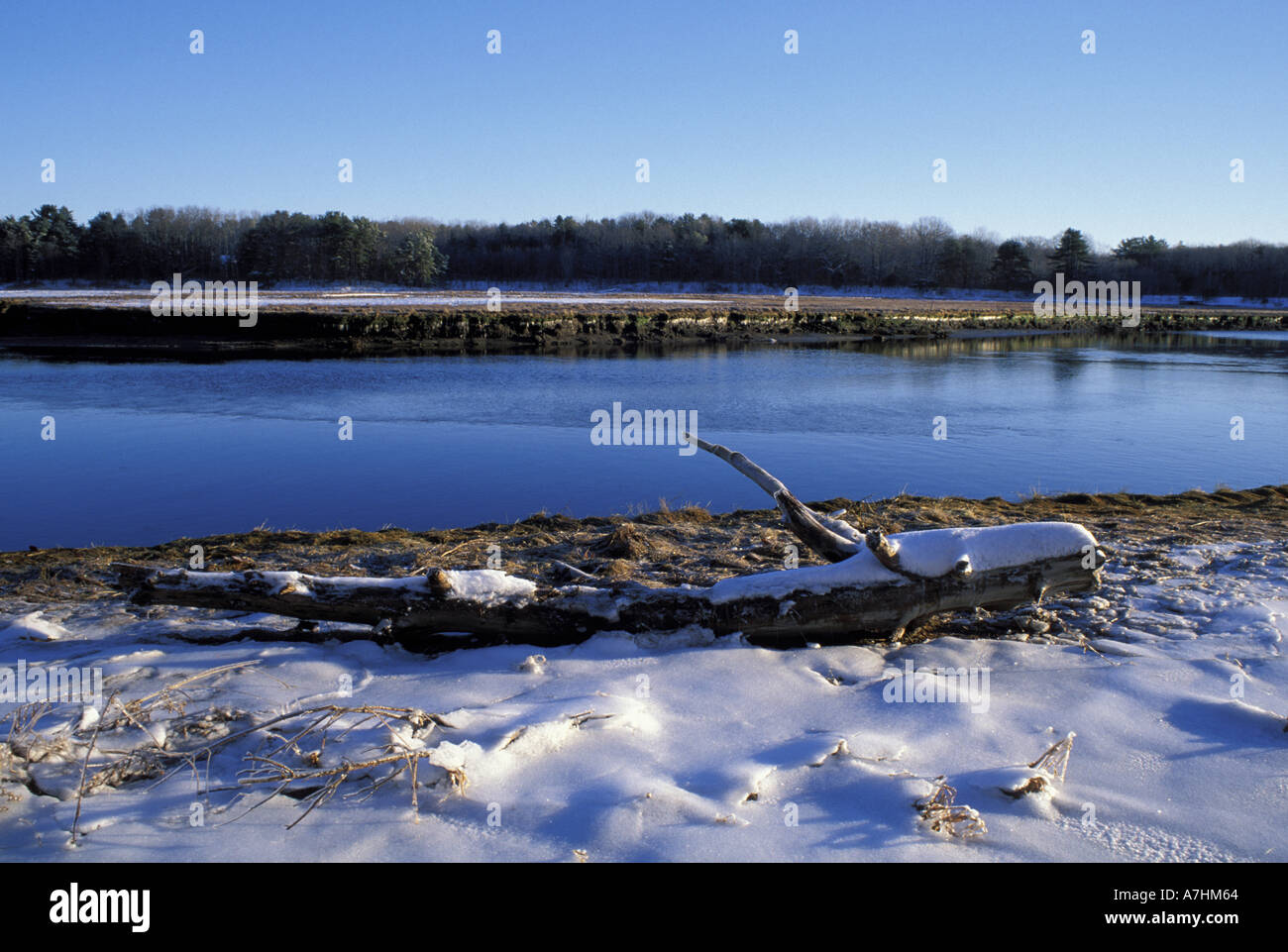 North America, US, ME, Winter on the Mousam River in the Rachel Carson National Wildlife Refuge. Tidal River. Stock Photo