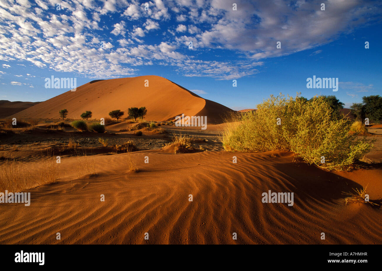 dune, Sossusvlei area, Namib Naukluft National Park, Namibia Stock ...
