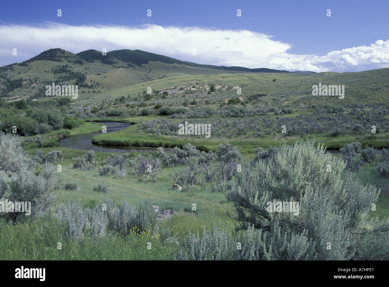 creek montana hires stock photography and images Alamy