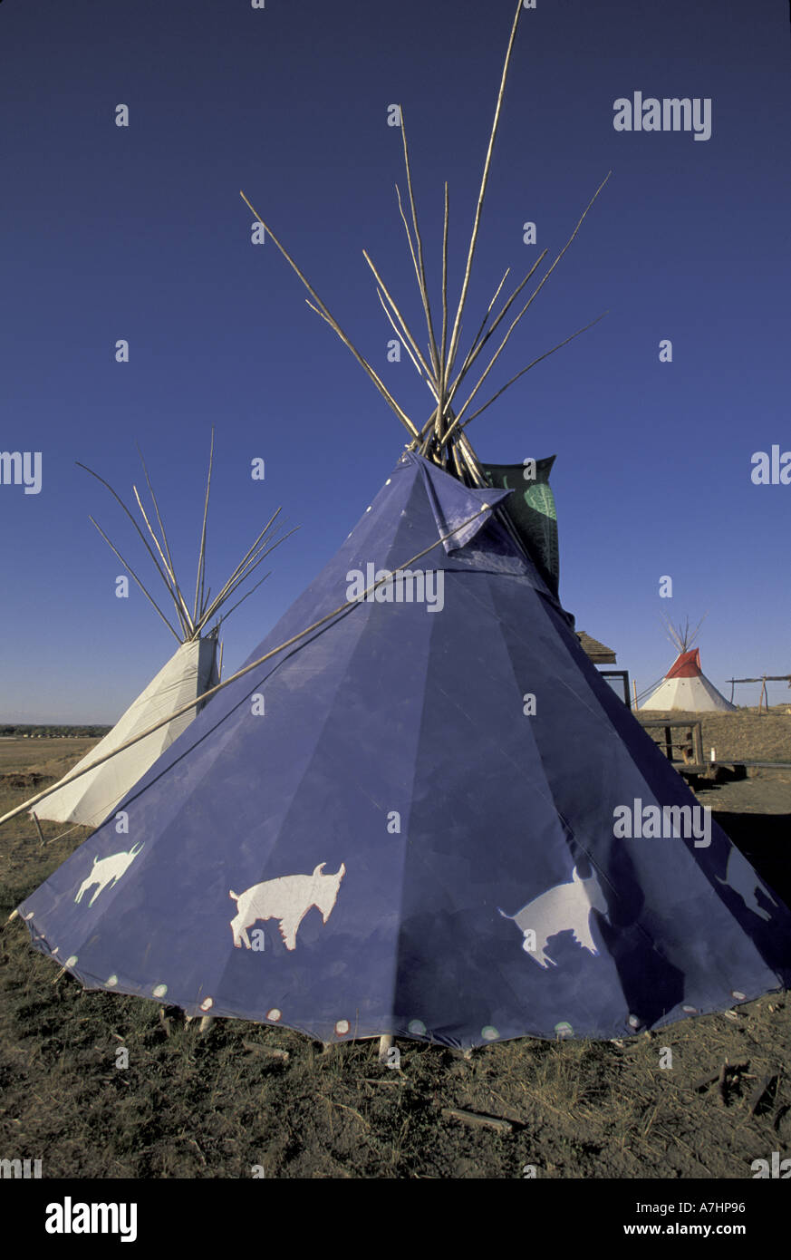 Native american dwelling montana hi-res stock photography and images ...