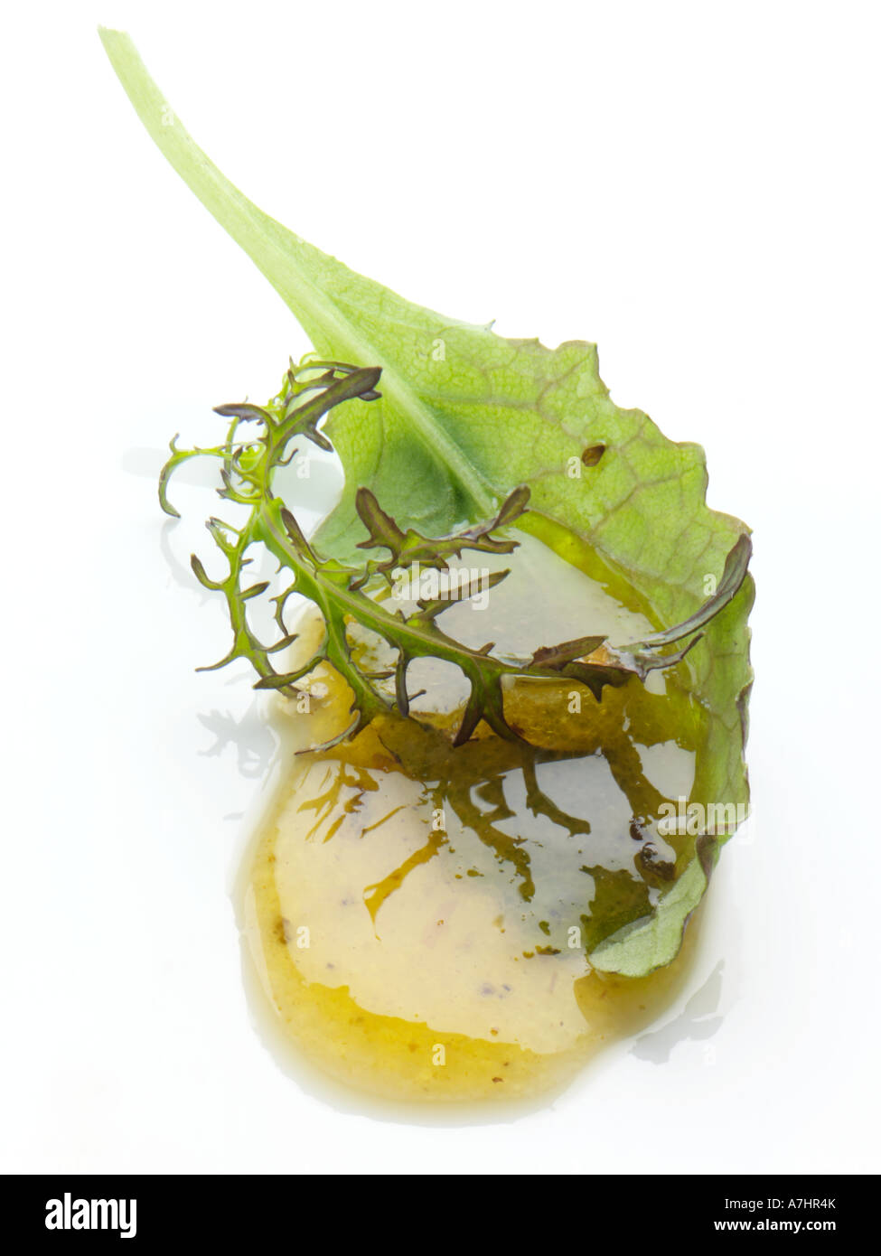 Lettuce leaf  rocket and salad dressing editorial food Stock Photo