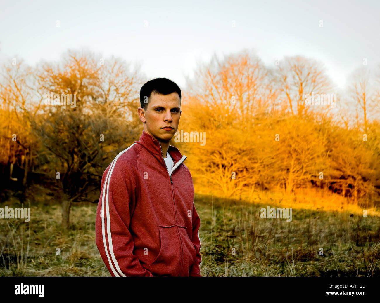 A photograph of a young handsome man looking at the camera Stock Photo ...
