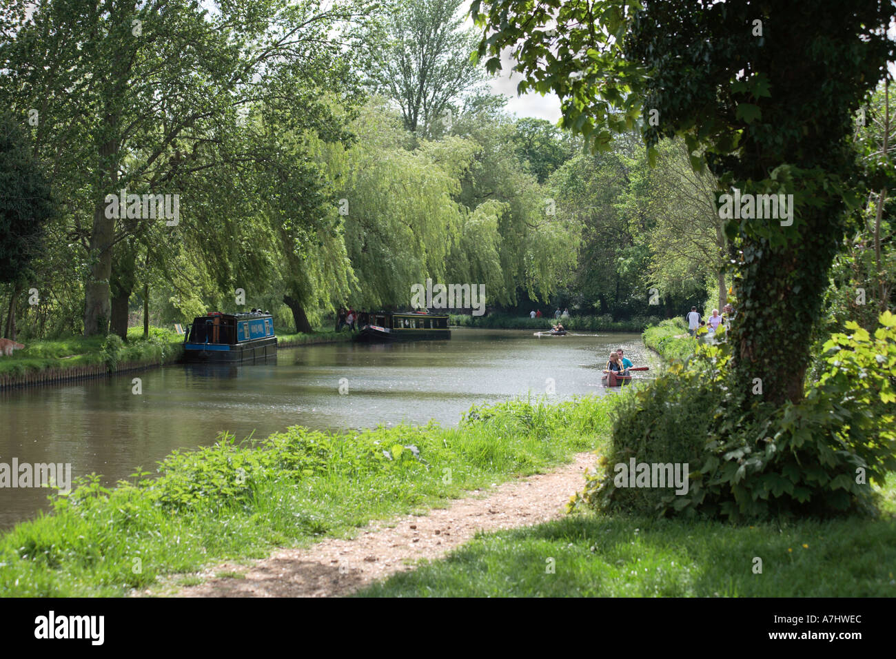 River Wey Guildford Stock Photo Alamy