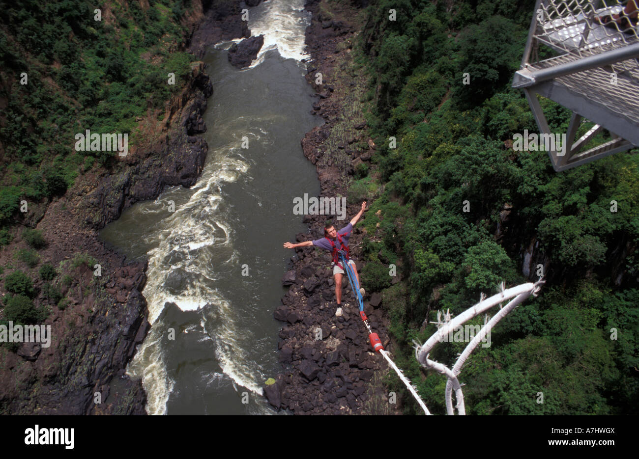 Bungee jumping from Victoria Falls bridge above the Zambezi river
