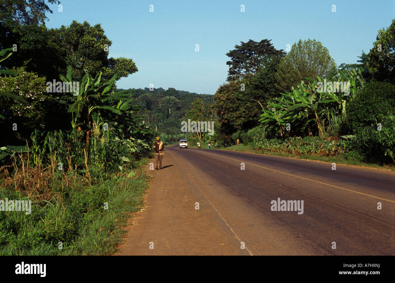 The Kampala Jinja road passes Mabira Forest reserve Uganda Stock Photo Alamy