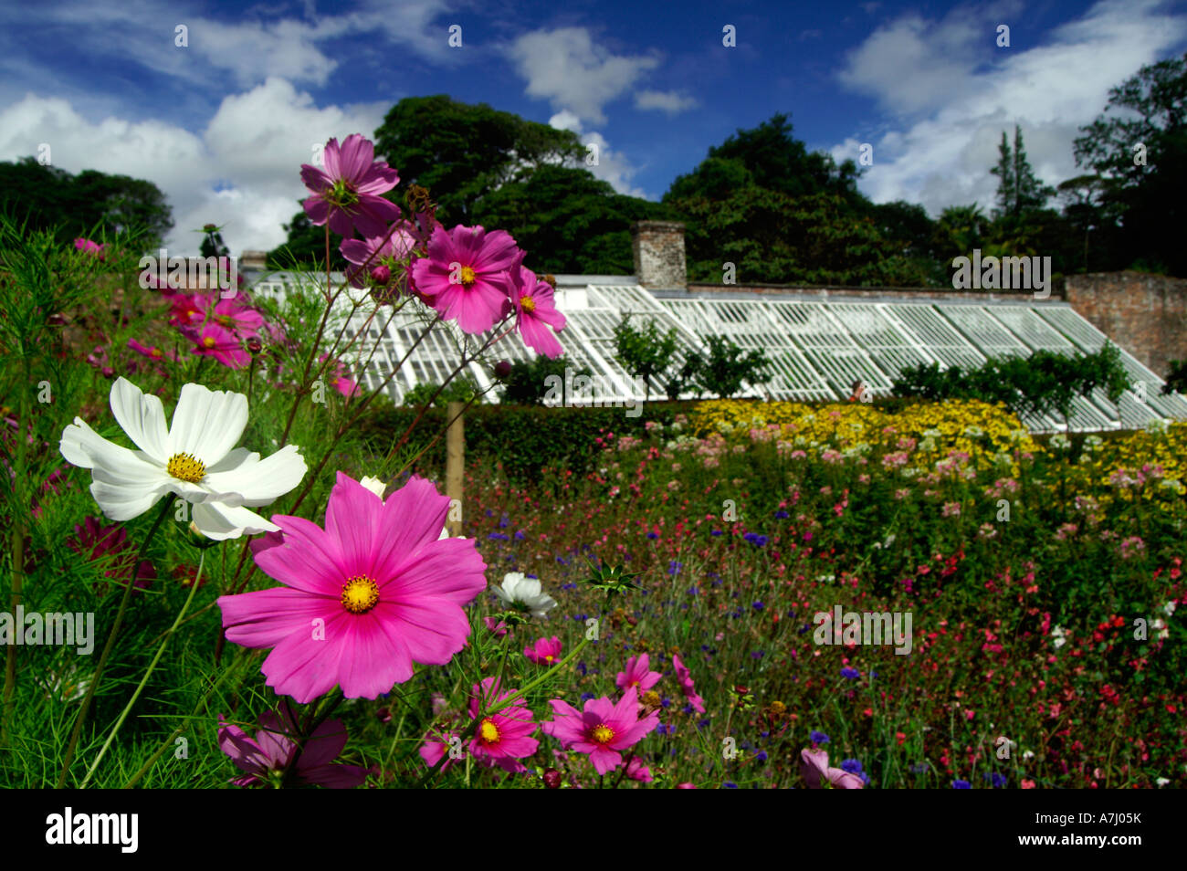 View of Heligan Garden Stock Photo