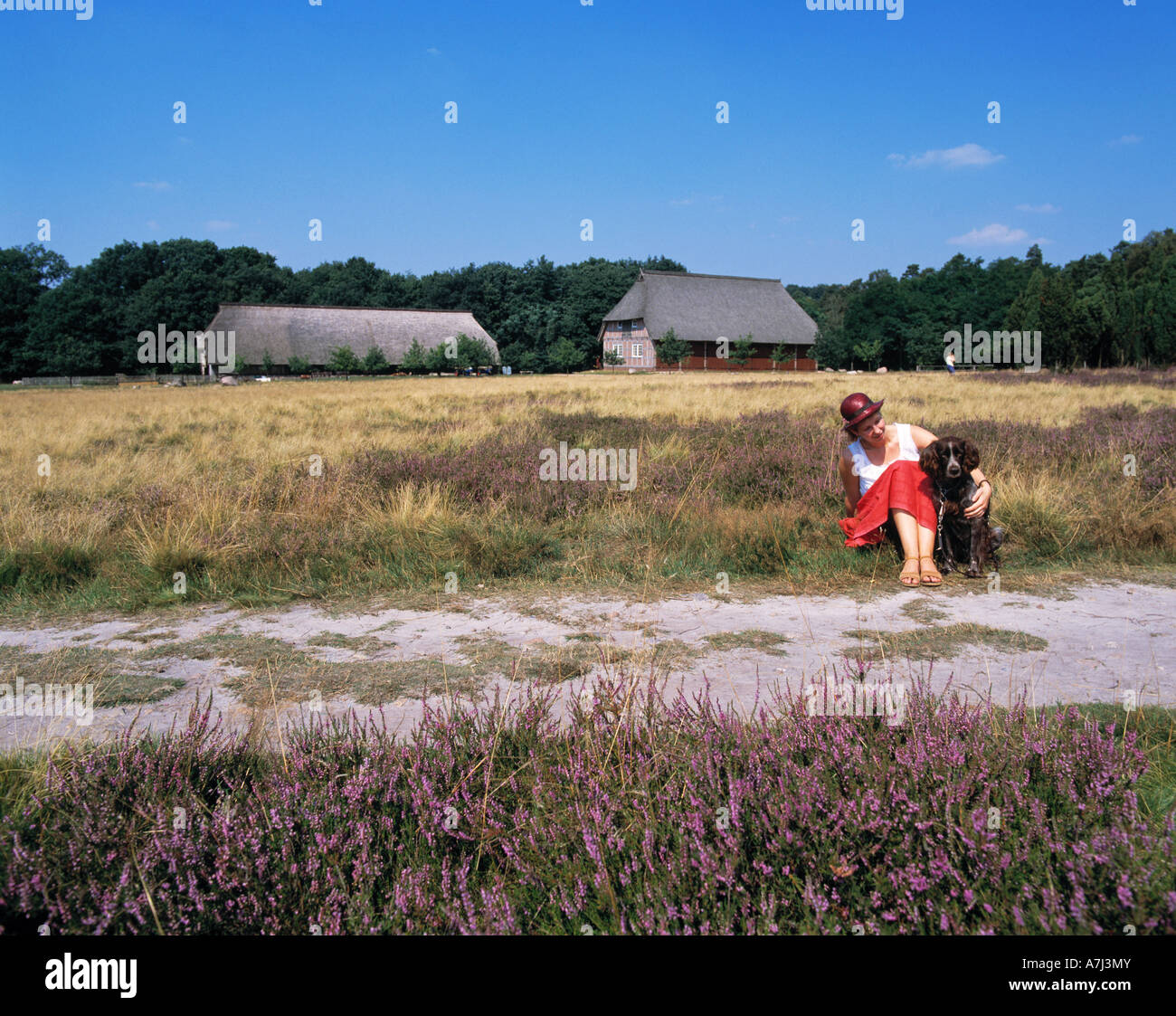 junge Frau mit ihrem Hund in der Heidelandschaft im Naturschutzpark Lueneburger Heide in Niedersachsen Stock Photo