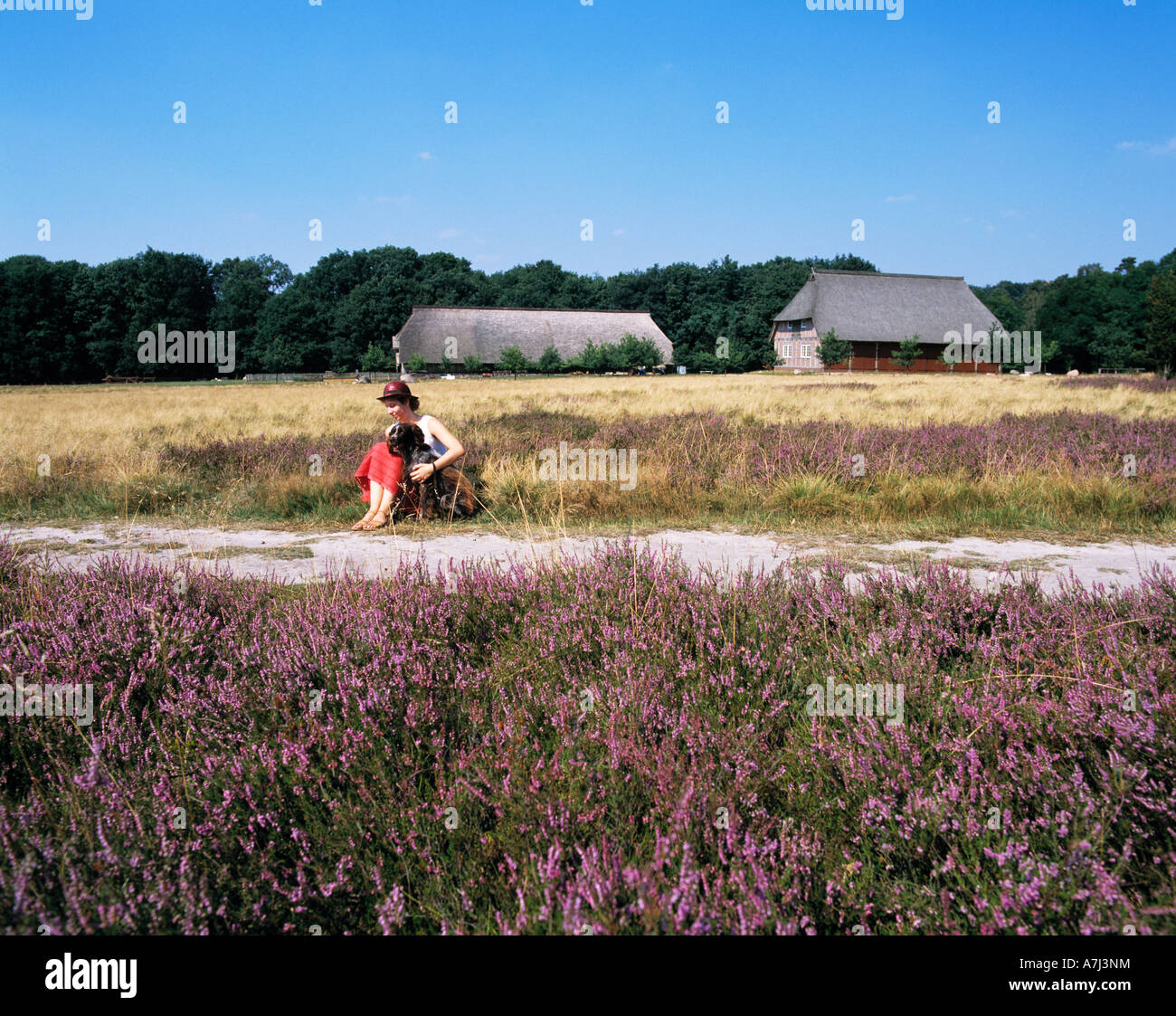 junge Frau mit ihrem Hund in der Heidelandschaft im Naturschutzpark Lueneburger Heide in Niedersachsen Stock Photo