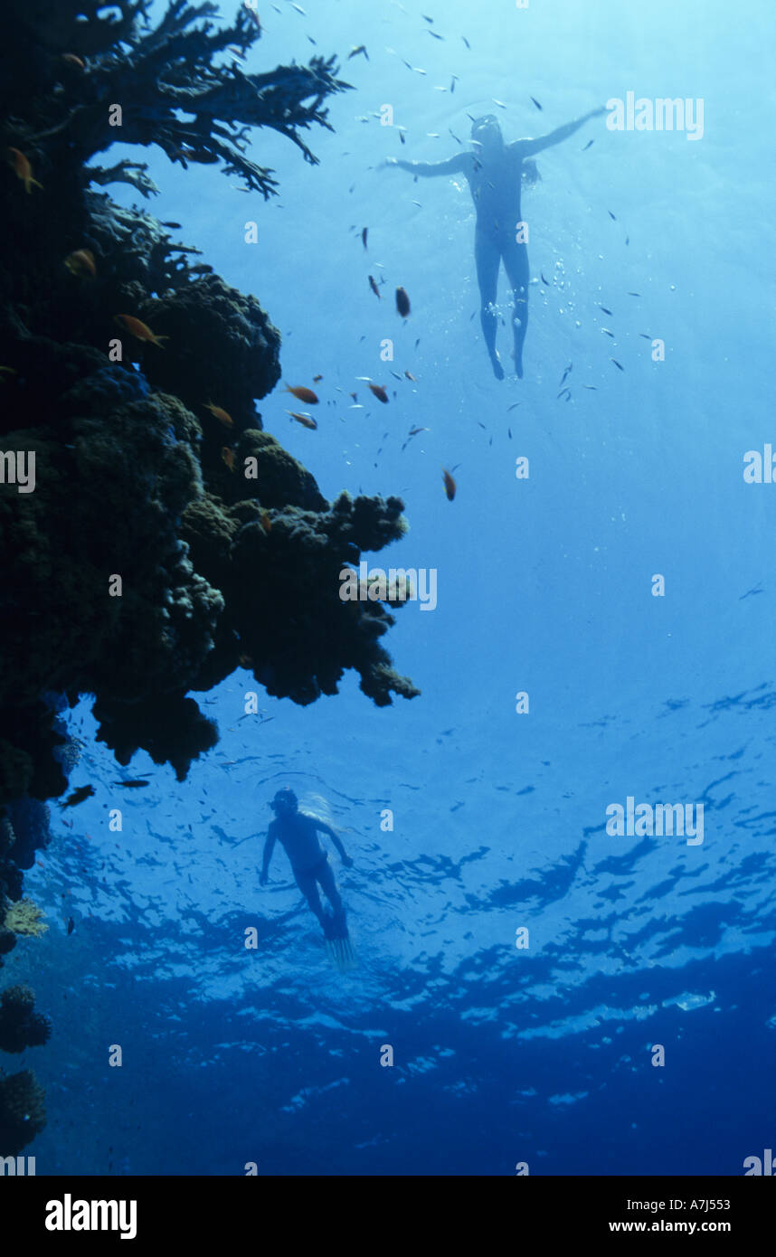 snorkerling on coral reef Stock Photo