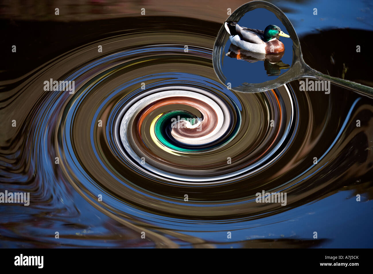 Duck soup Stock Photo - Alamy