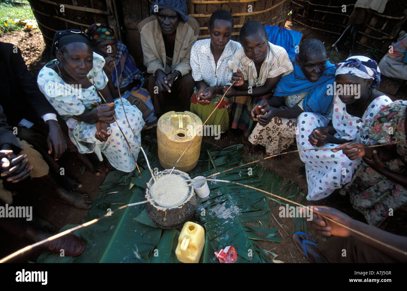 In Eastern Uganda people drink local beer through straws from a