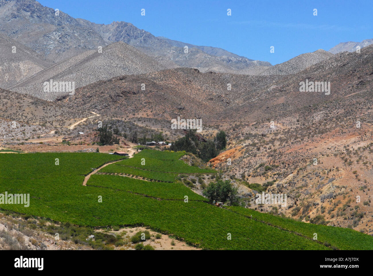 Panoramic view of Valley elqui Chile Stock Photo