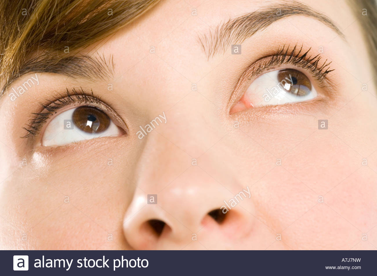 Hazel